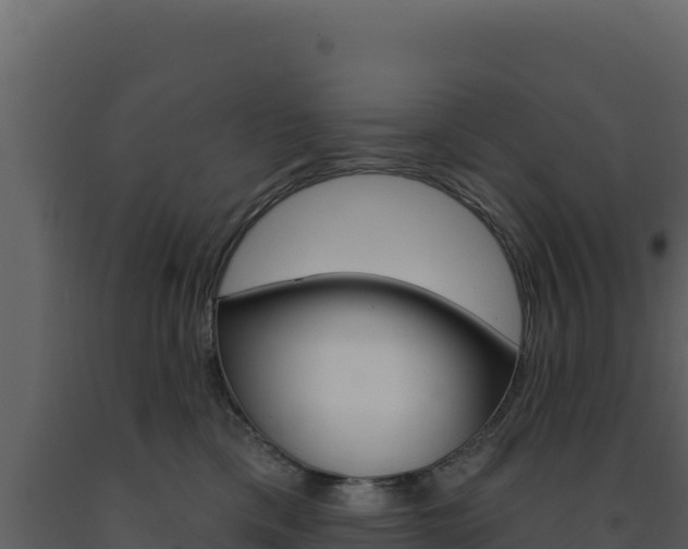 X0000091730425200708241048