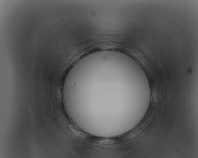 X0000091730426200708241048