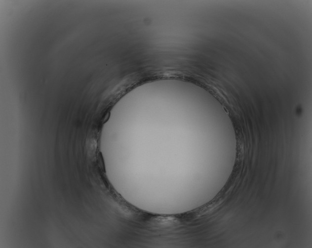X0000091730427200708241048