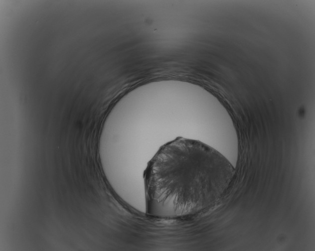 X0000091730428200708241048