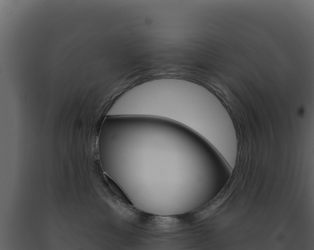 X0000091730429200708241048