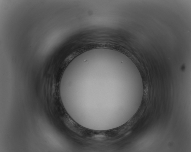 X0000091730430200708241048