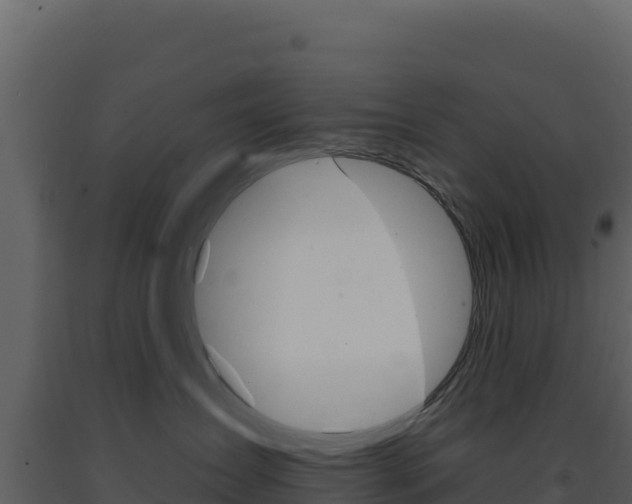 X0000091730431200708241048