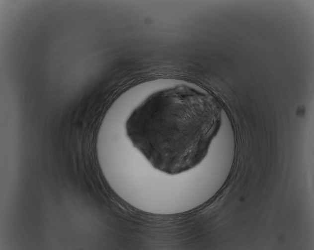 X0000091730432200708241048