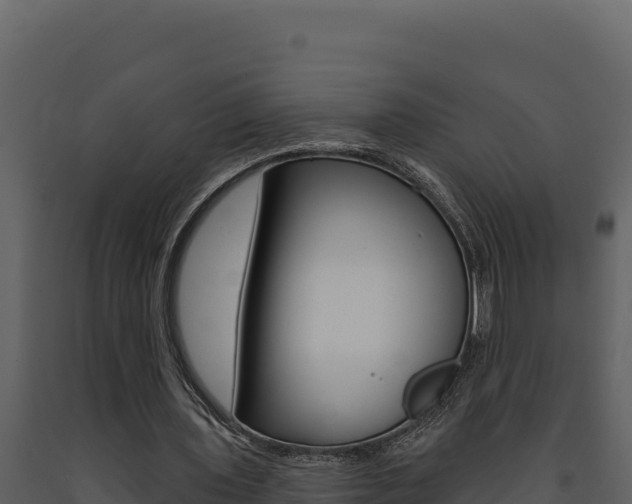 X0000091730435200708241047