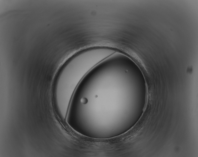 X0000091730436200708241047