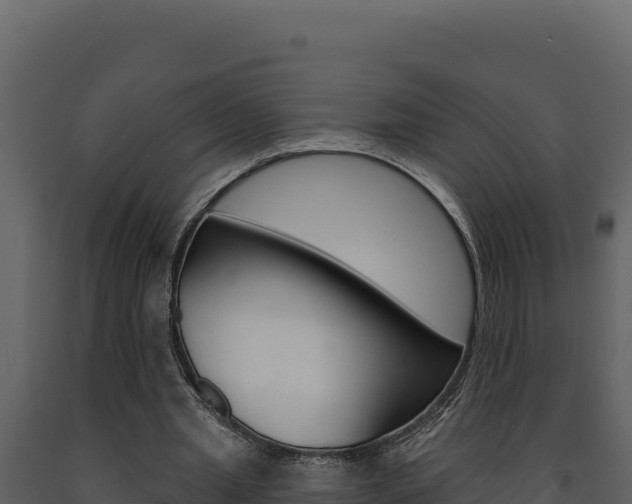 X0000091730437200708241047