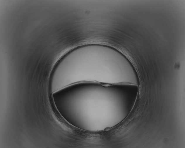 X0000091730438200708241048