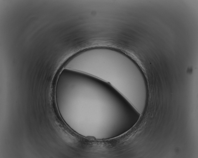 X0000091730439200708241048