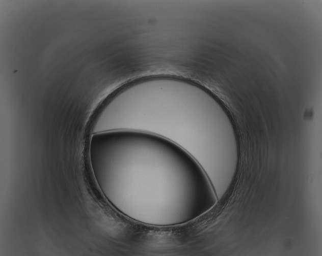 X0000091730440200708241048