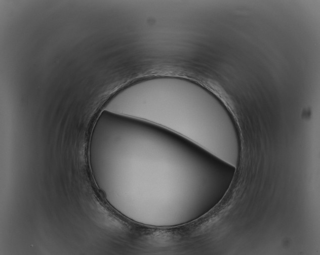 X0000091730441200708241048