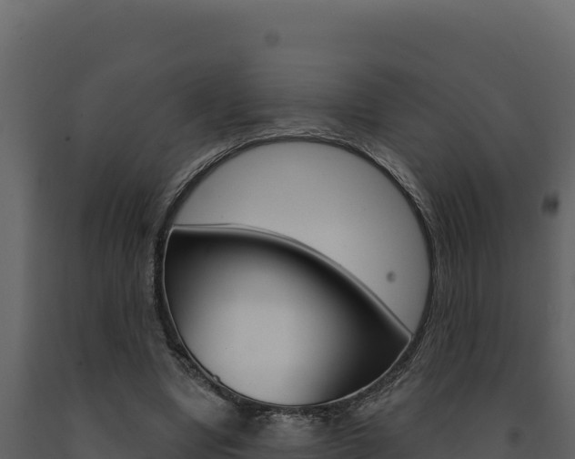 X0000091730442200708241048