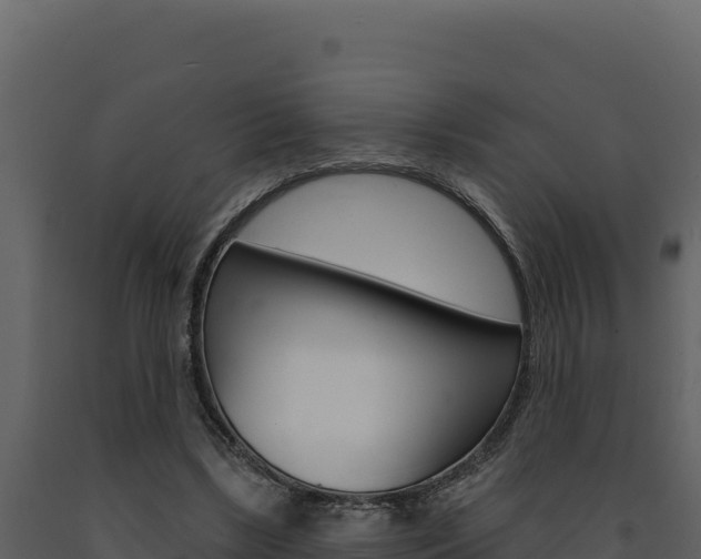 X0000091730443200708241048