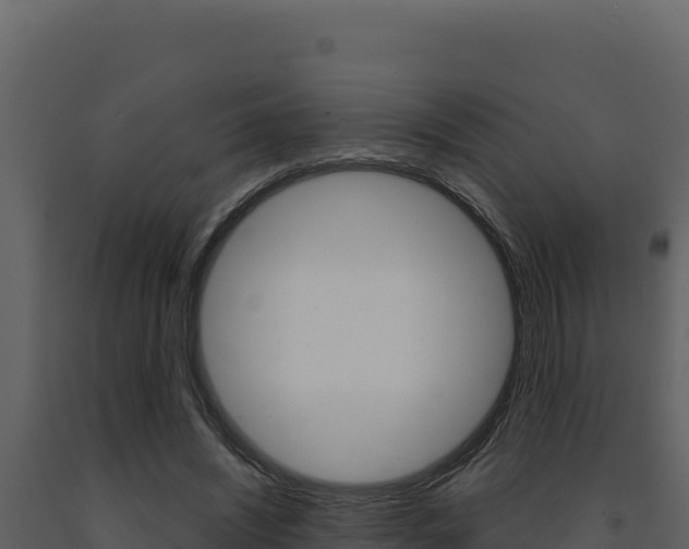 X0000091730444200708241048
