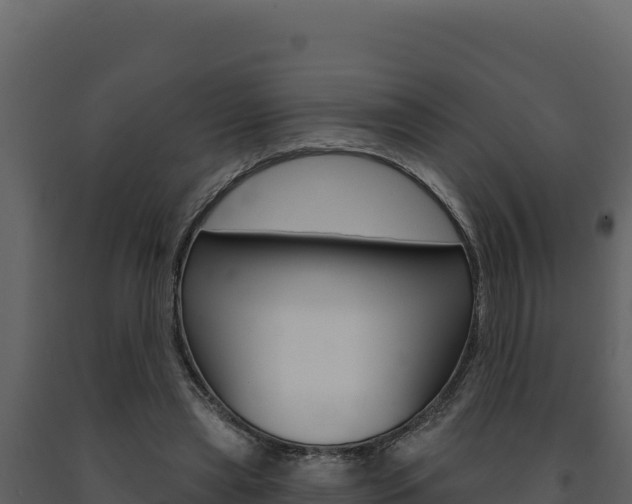 X0000091730445200708241048