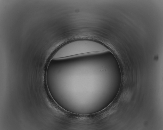 X0000091730446200708241048