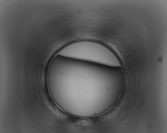 X0000091730447200708241048