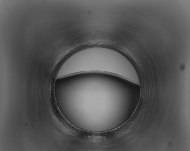 X0000091730448200708241048
