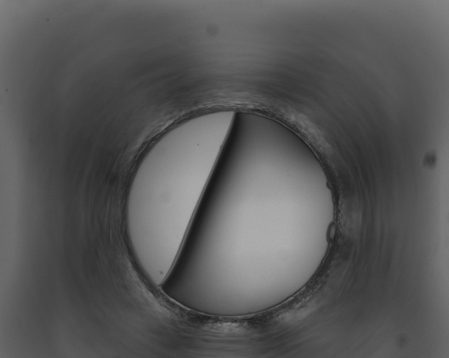 X0000091730449200708241048
