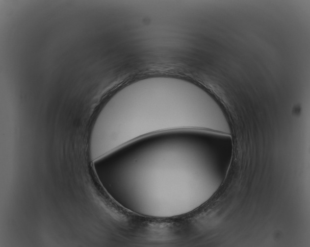 X0000091730450200708241048
