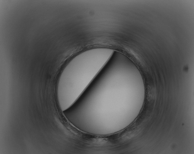 X0000091730451200708241048