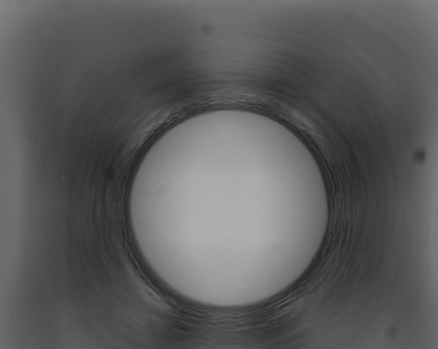 X0000091730452200708241048