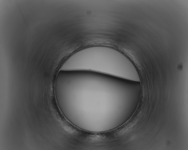 X0000091730453200708241048
