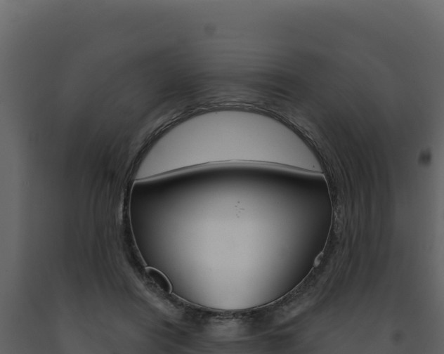X0000091730454200708241048