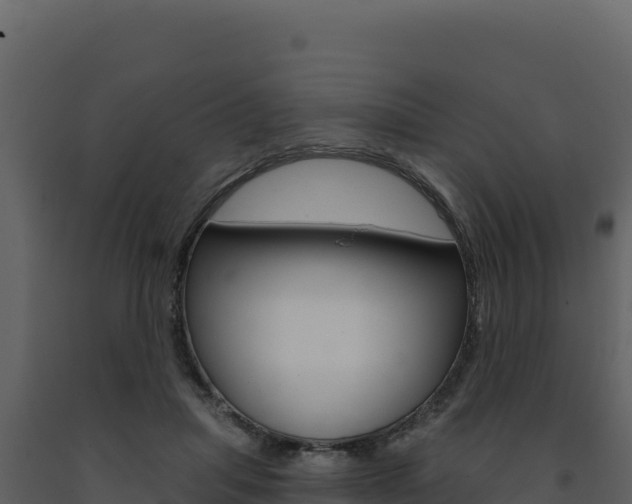 X0000091730455200708241048