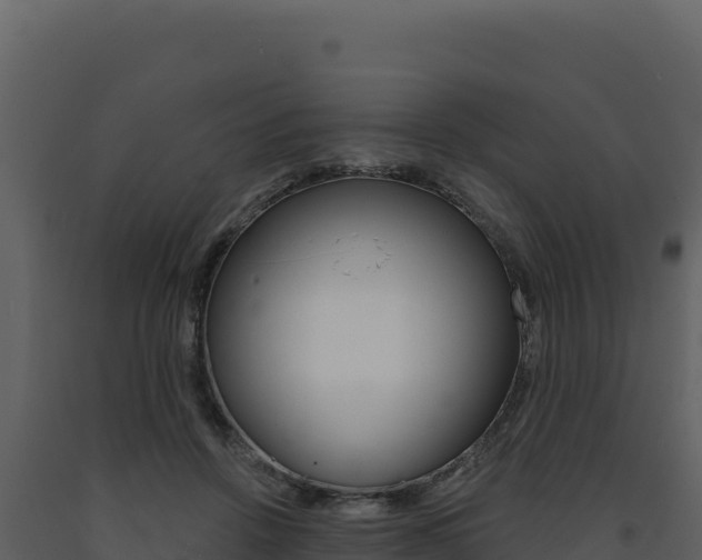 X0000091730456200708241048