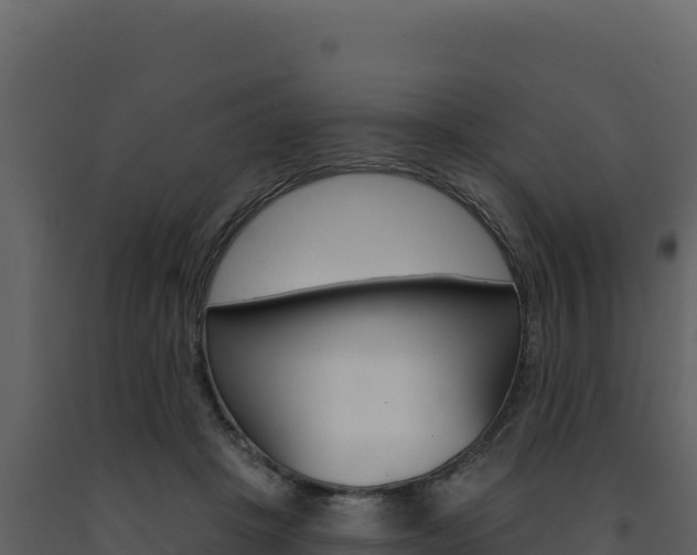 X0000091730457200708241048