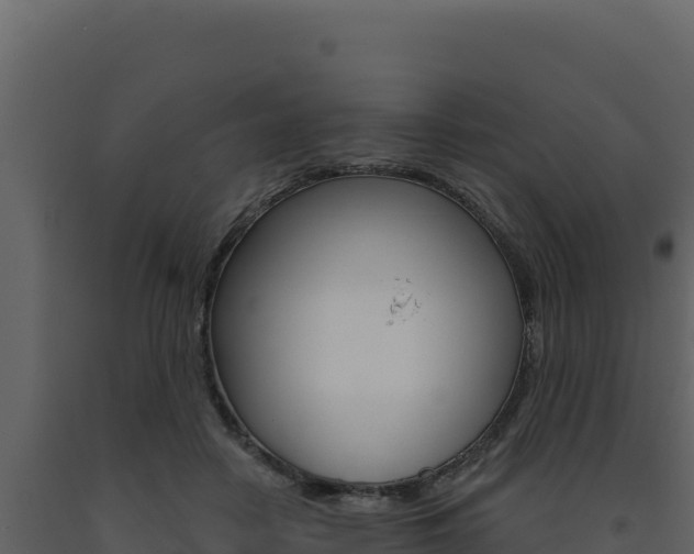 X0000091730458200708241048