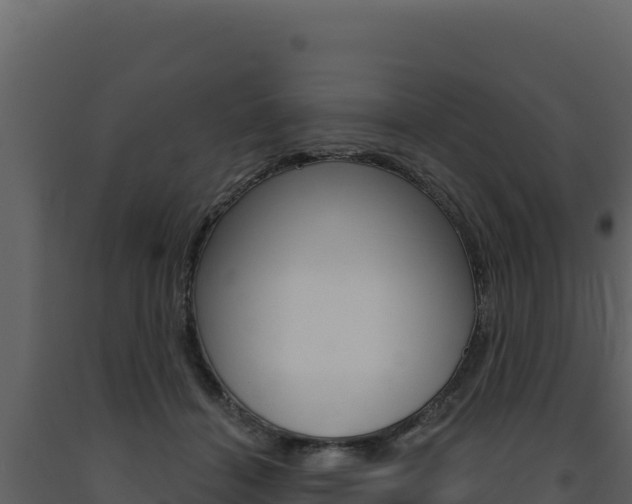 X0000091730460200708241048