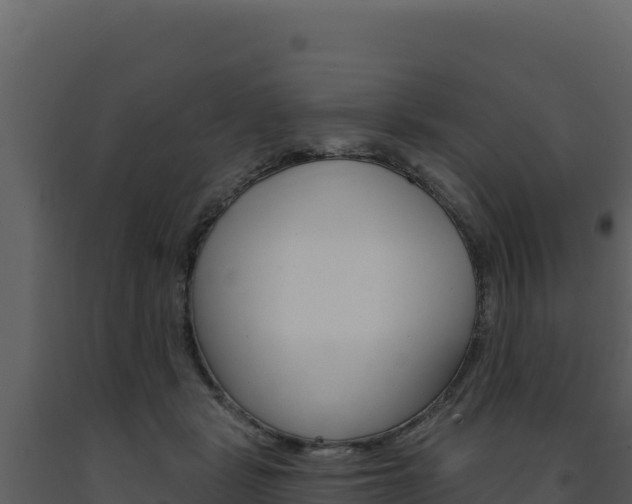 X0000091730461200708241048