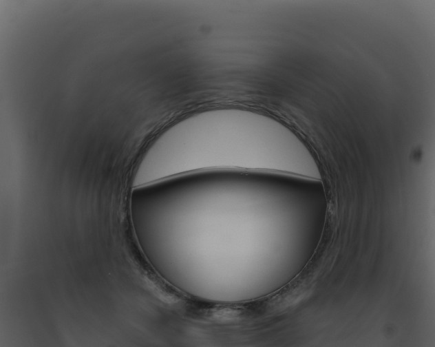 X0000091730462200708241048