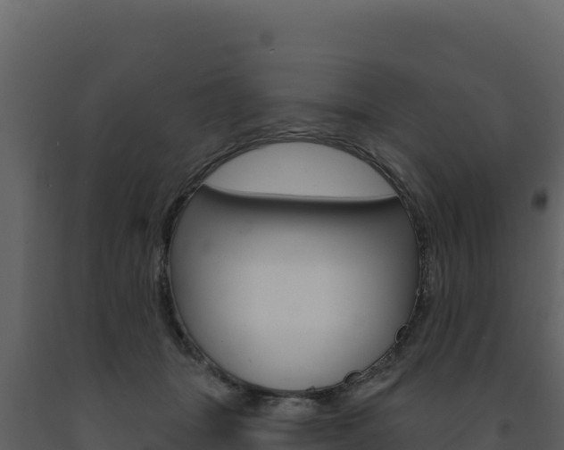 X0000091730463200708241048