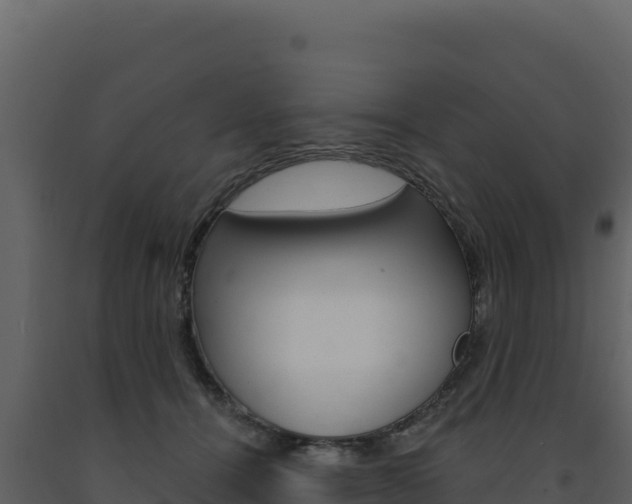 X0000091730464200708241048