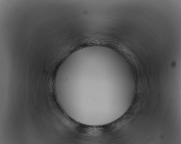 X0000091730465200708241048
