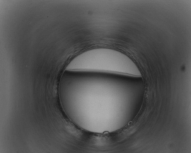 X0000091730466200708241048