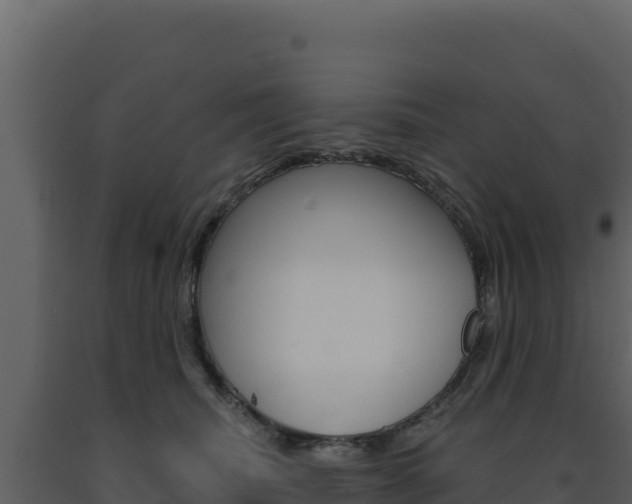 X0000091730468200708241048
