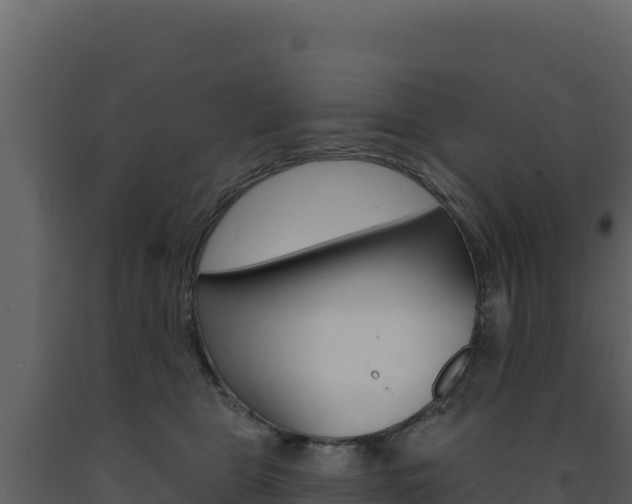 X0000091730469200708241048