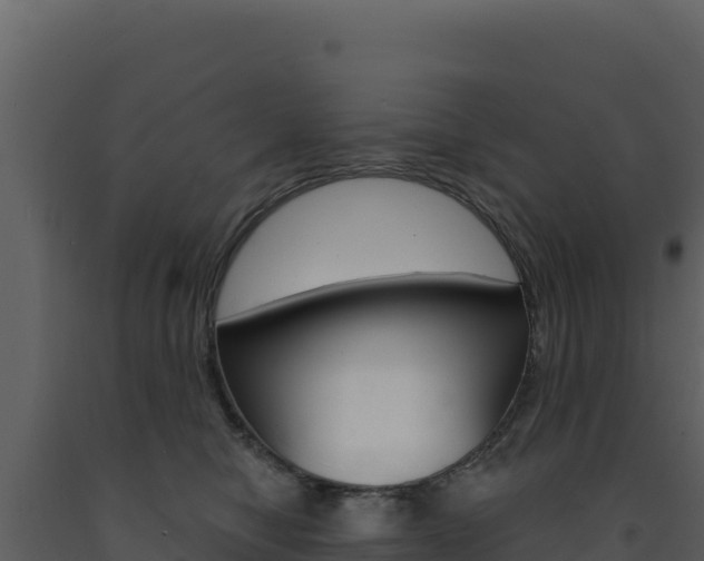 X0000091730470200708241048
