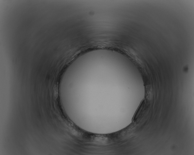 X0000091730471200708241048