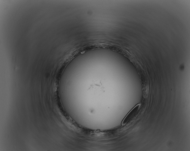 X0000091730472200708241048