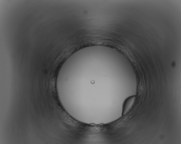 X0000091730473200708241048