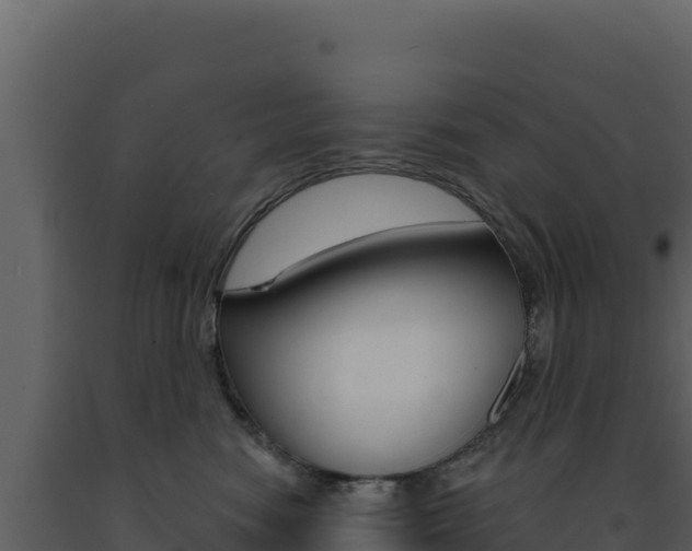 X0000091730474200708241048