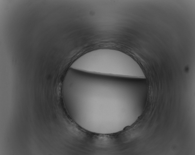 X0000091730475200708241048