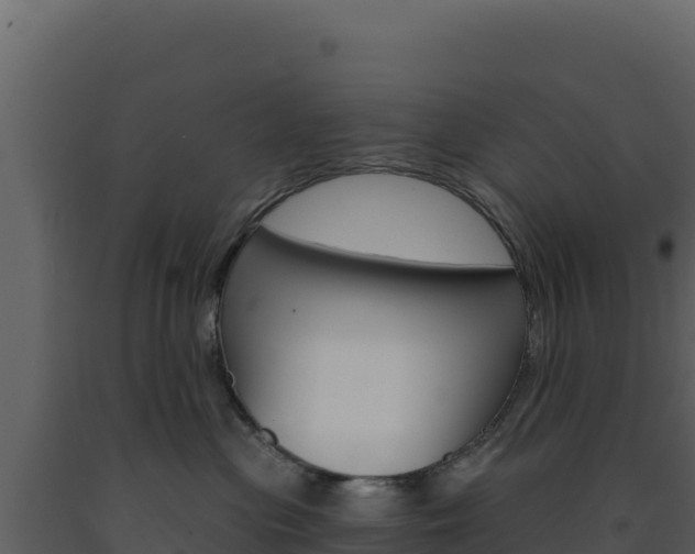 X0000091730477200708241048
