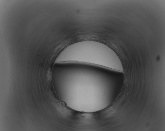 X0000091730478200708241048