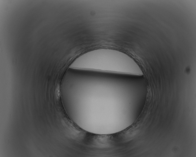 X0000091730479200708241048